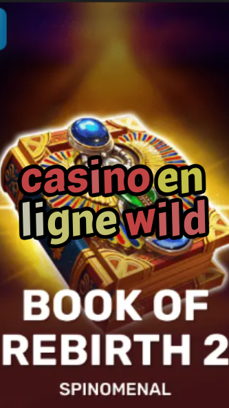 casino en ligne wild-trdjkmsxjksdss.com